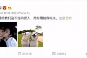 娱乐圈吃瓜张翰微博,张翰微博吃瓜大揭秘